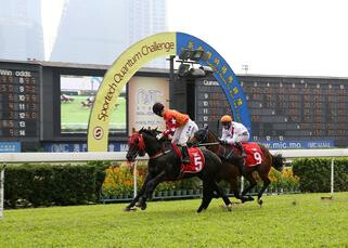 Go Go Partners (NZ) Claims NZB Ready to Run Sale Trophy. Photo: Macau Jockey Club.